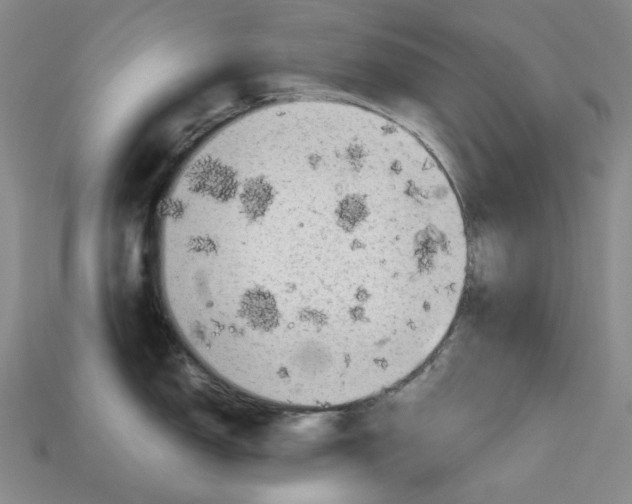 X0000112971150200909241321