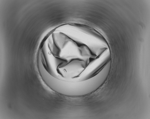 X0000112971152200909241321