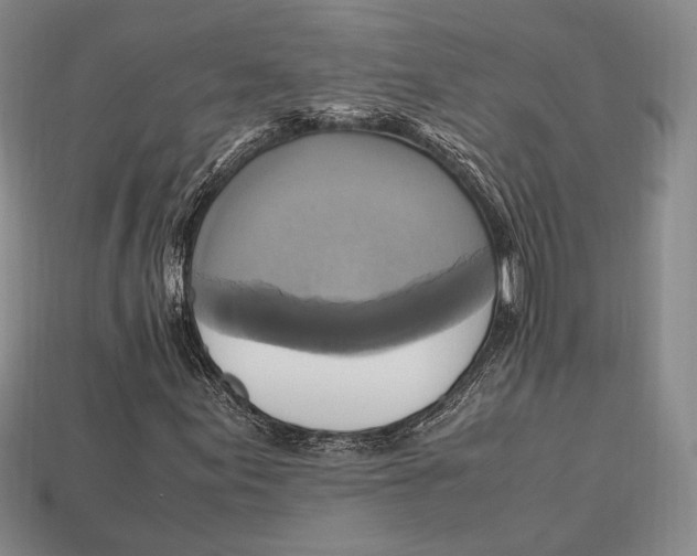 X0000112971155200909241321