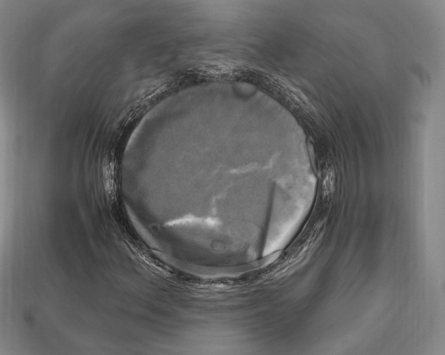 X0000112971156200909241321