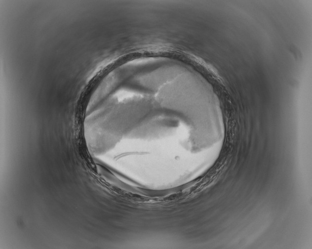 X0000112971160200909241321