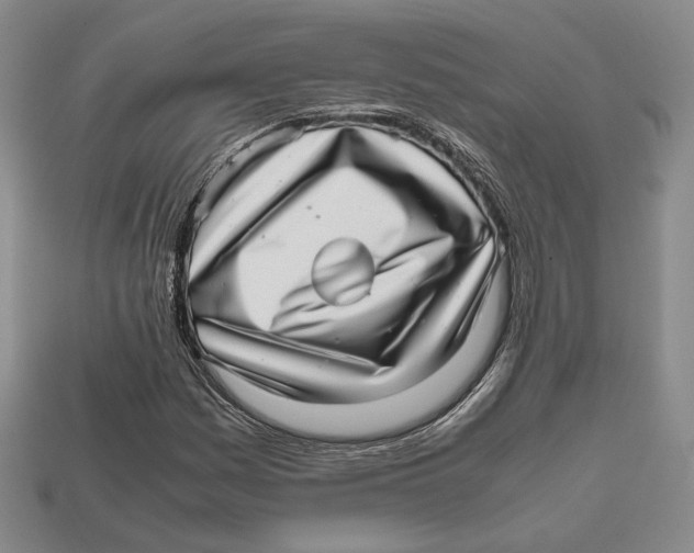 X0000112971161200909241321