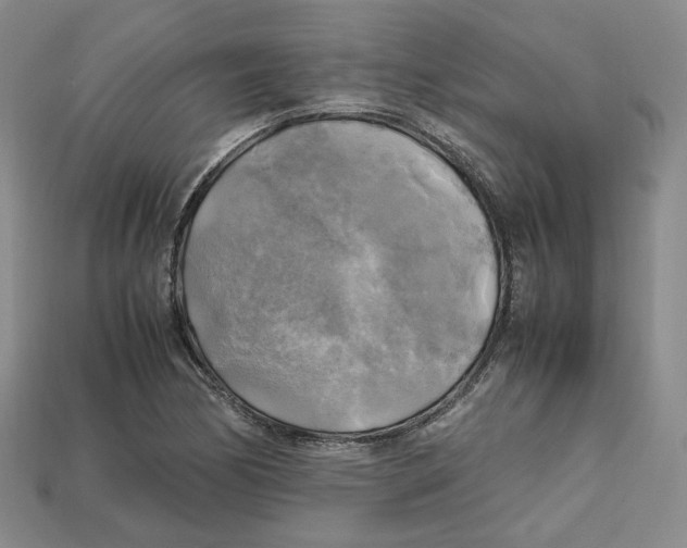 X0000112971170200909241321