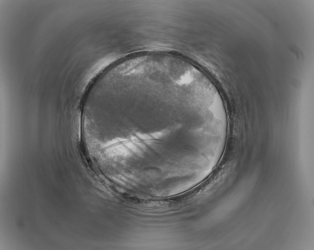 X0000112971171200909241321
