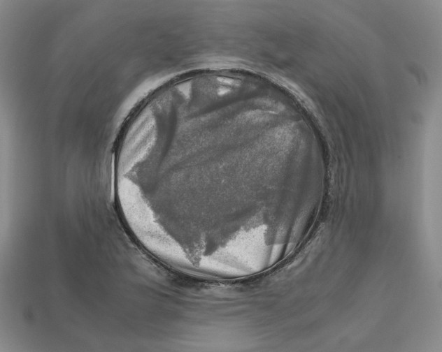 X0000112971175200909241321