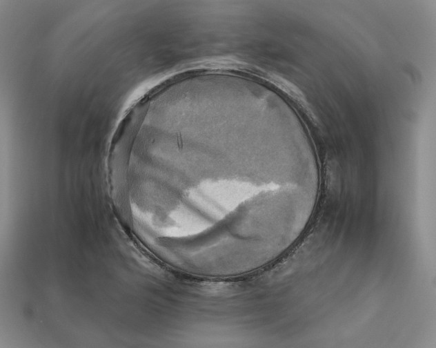 X0000112971176200909241321
