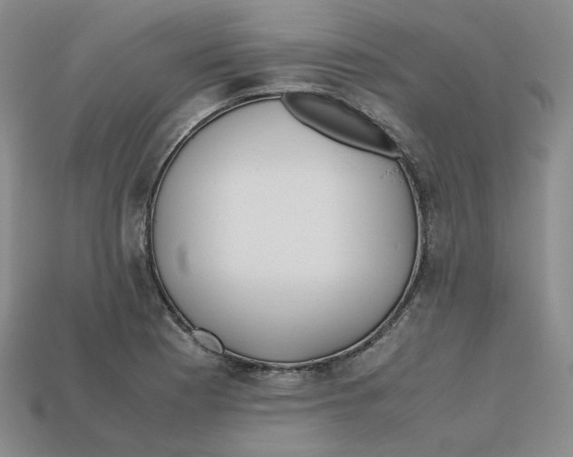 X0000112971177200909241321