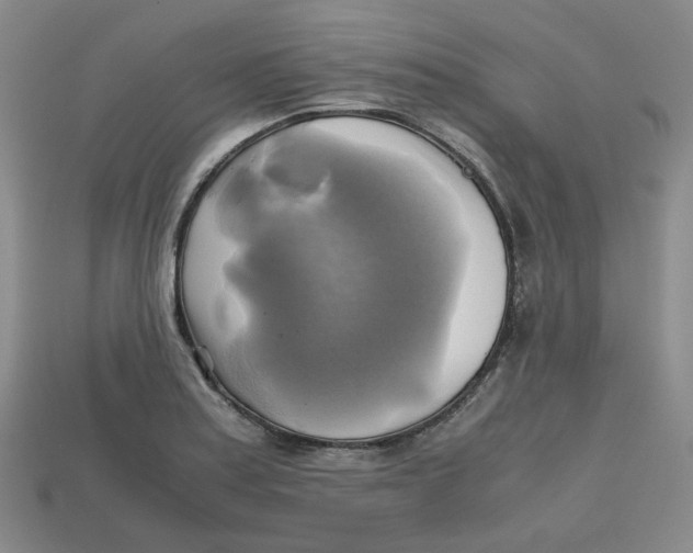 X0000112971179200909241321