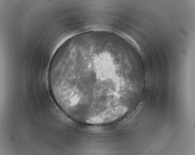 X0000112971182200909241320