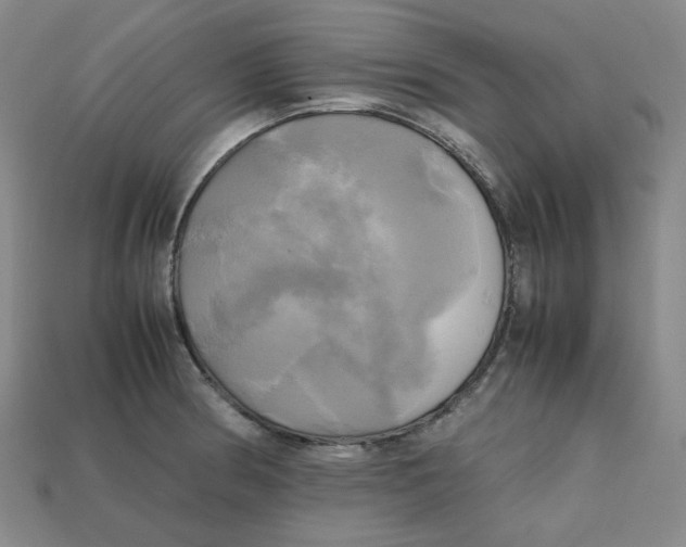 X0000112971186200909241320