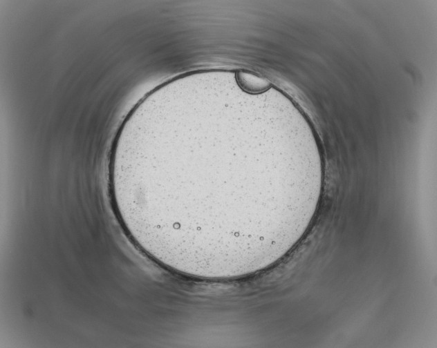 X0000112971187200909241320