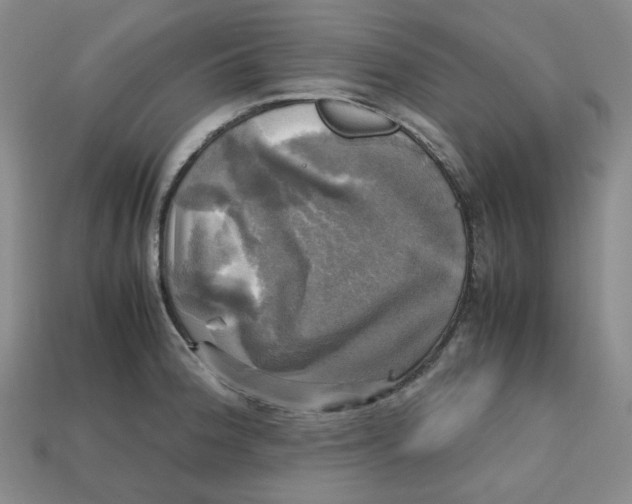 X0000112971188200909241320
