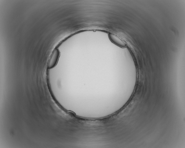 X0000112971189200909241320