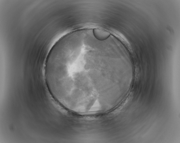 X0000112971190200909241320