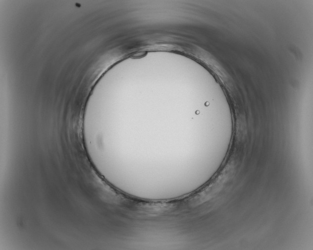 X0000112971193200909241320