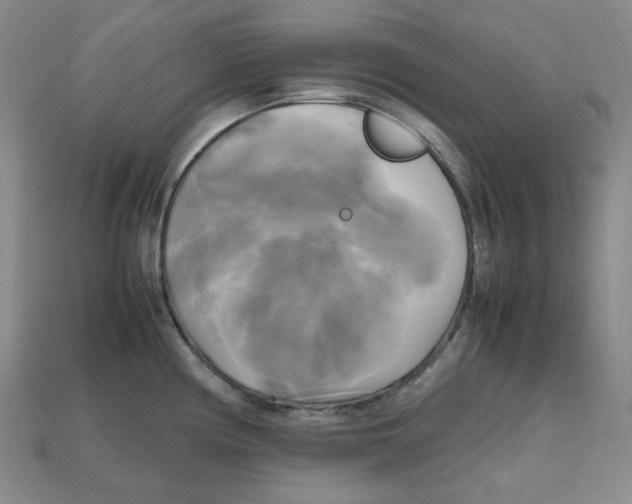 X0000112971194200909241320