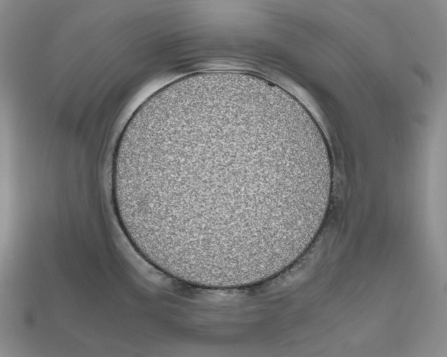 X0000112971195200909241320