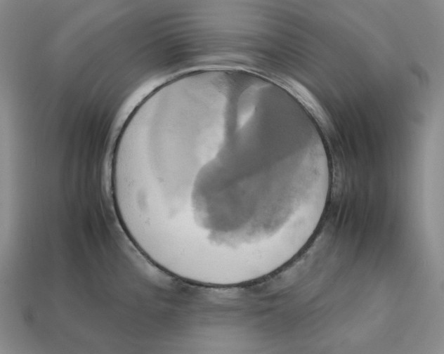 X0000112971196200909241320