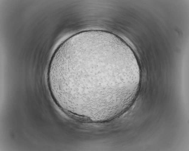 X0000112971197200909241320