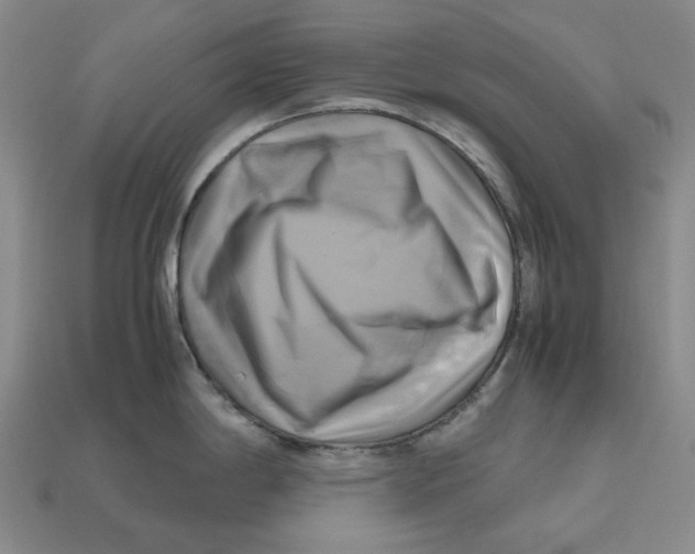 X0000112971198200909241320