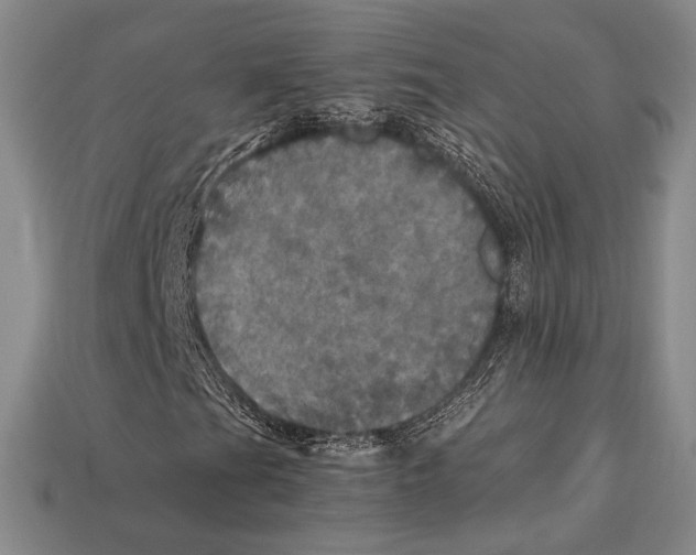 X0000112971201200909241320