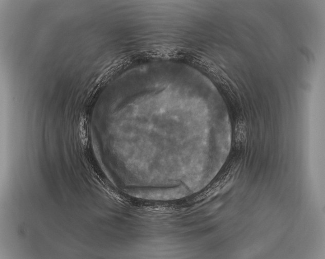 X0000112971202200909241320