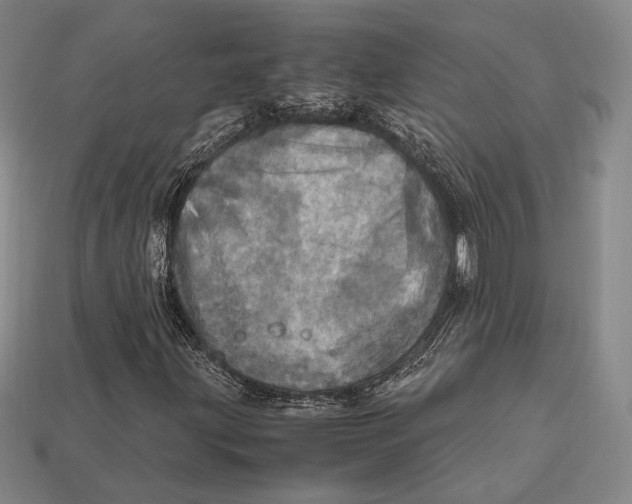 X0000112971203200909241320