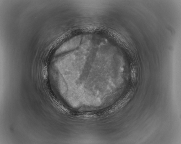 X0000112971204200909241320
