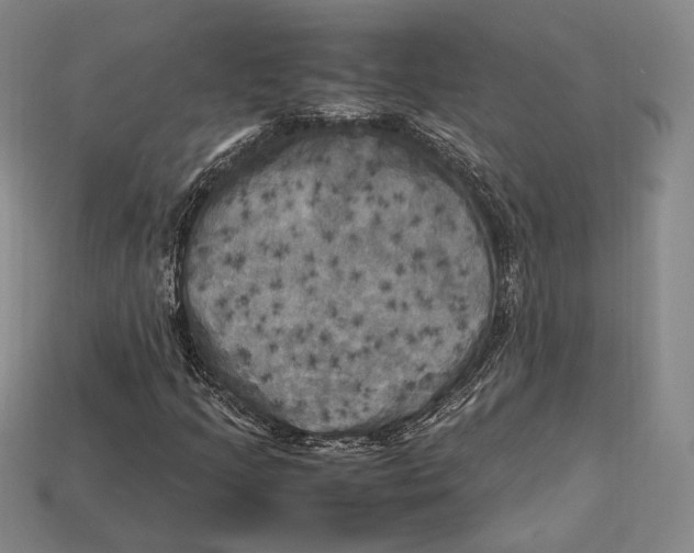 X0000112971205200909241320