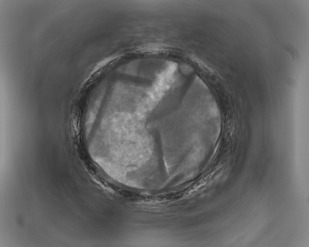 X0000112971206200909241320