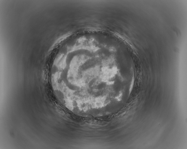 X0000112971207200909241320