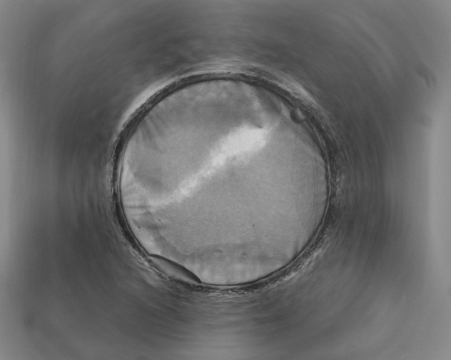 X0000112971216200909241320