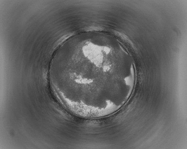 X0000112971217200909241320