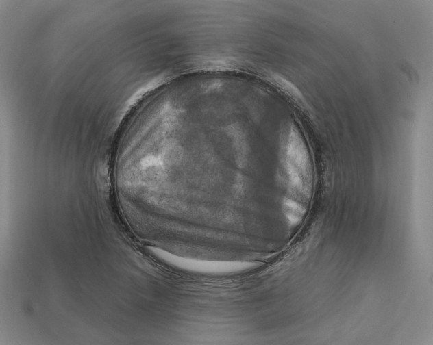 X0000112971218200909241320