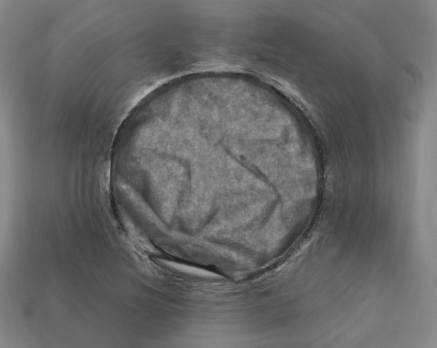 X0000112971220200909241320