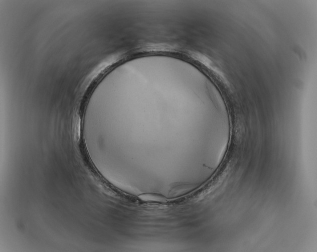 X0000112971221200909241320