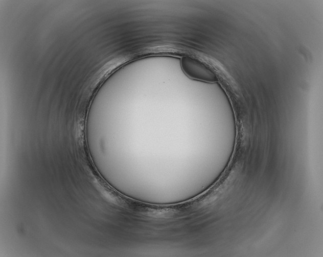 X0000112971225200909241320