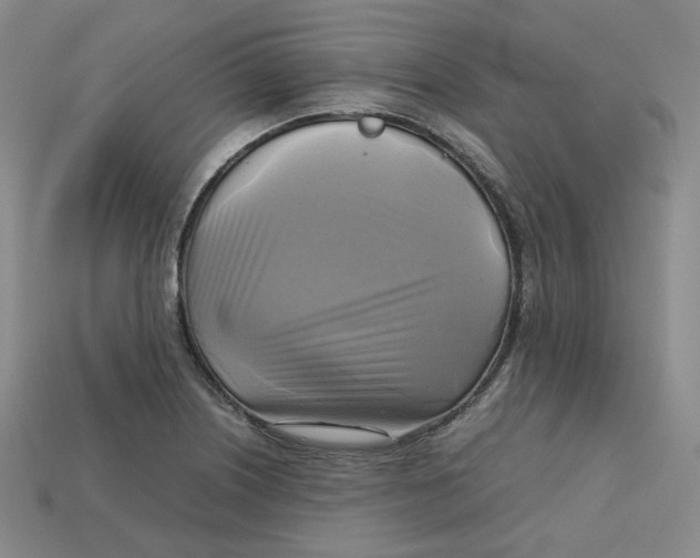 X0000112971226200909241320