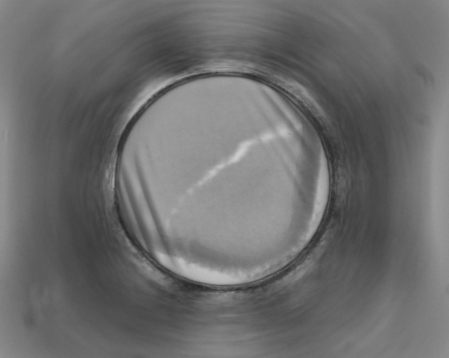 X0000112971228200909241320