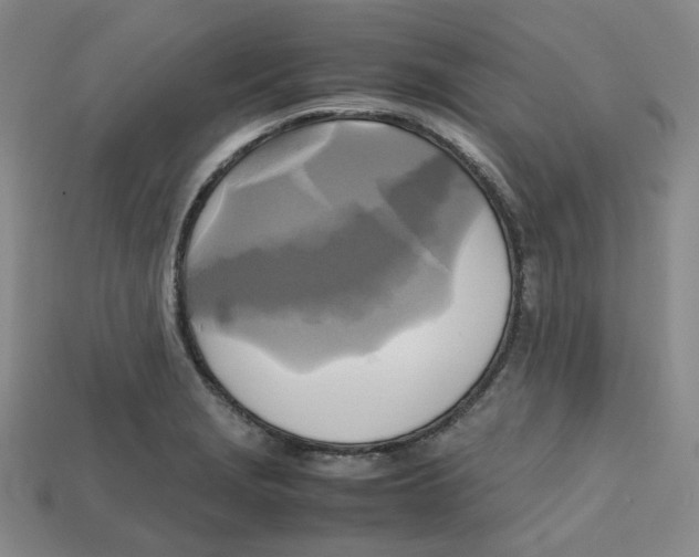 X0000112971229200909241320