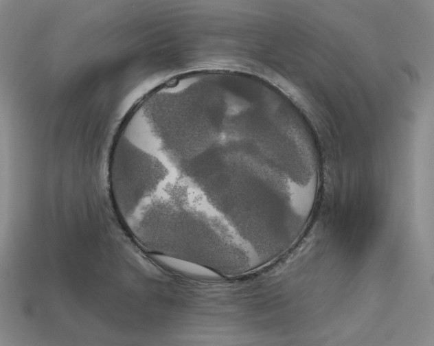 X0000112971230200909241320