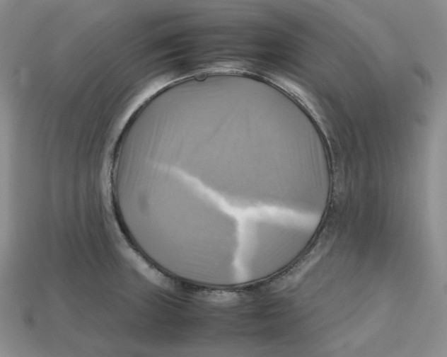 X0000112971235200909241320