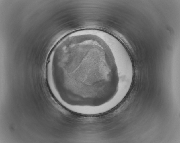 X0000112971236200909241320