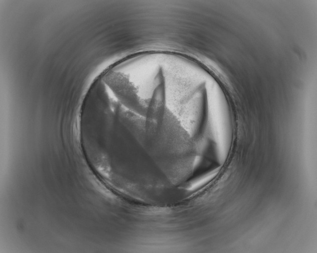 X0000112971238200909241320