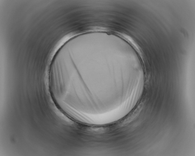 X0000112971243200909241320