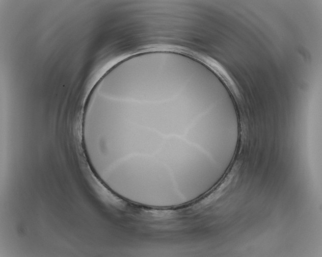 X0000112971244200909241320