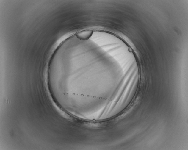 X0000112971245200909241320