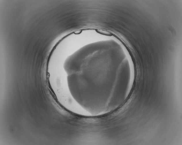X0000112971246200909241320