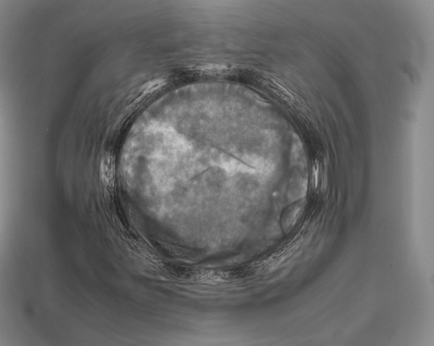 X0000112971251200909241320