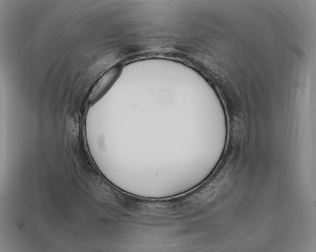 X0000112971257200909241320